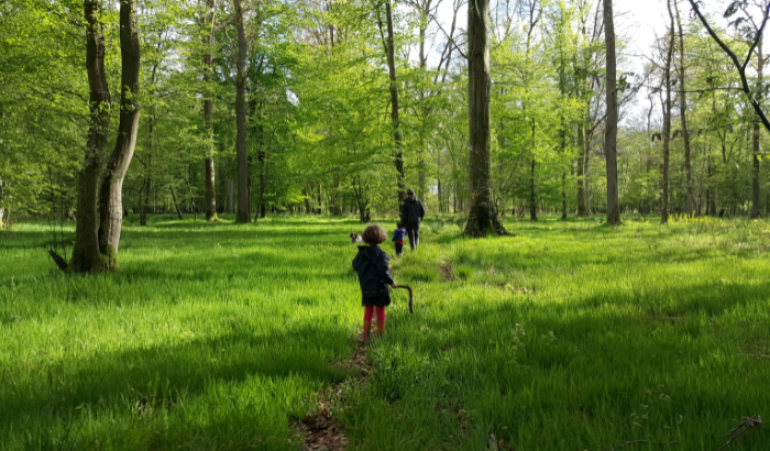 Parken bei Crécy-en-Ponthieu