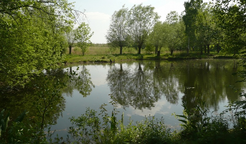 Le Marais de Samara