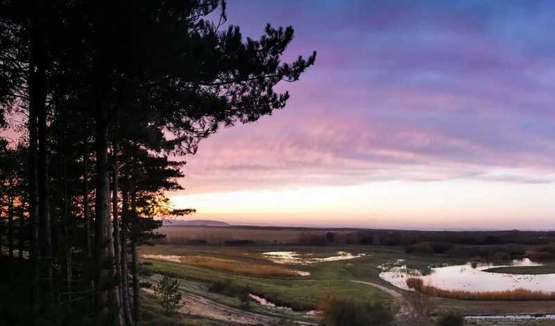 Evening of discovery and contemplation in the Marquenterre Park