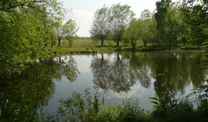 Le Marais de Samara