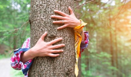 Sylvothérapie : Bain de forêt avec les éléments