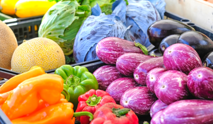 Les BIO Légumes de la Baie