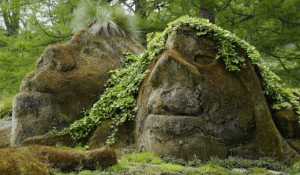 Quand la forêt se raconte