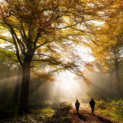 Unsere Ausflüge in die Natur