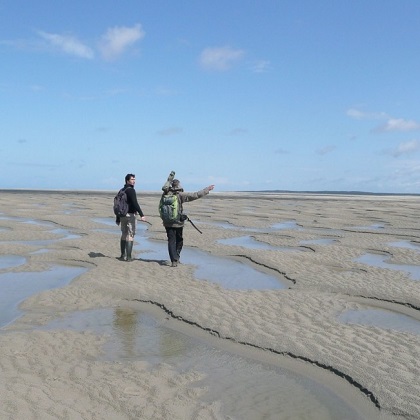 Visites guidées