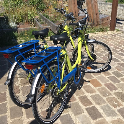 Bike rental