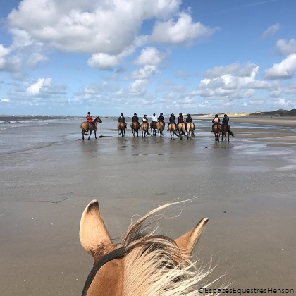 On horseback