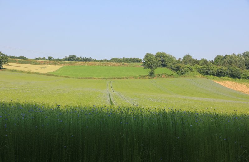 Circuit des Bois