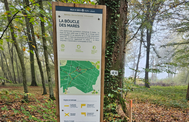 Les circuits en forêt de Crécy