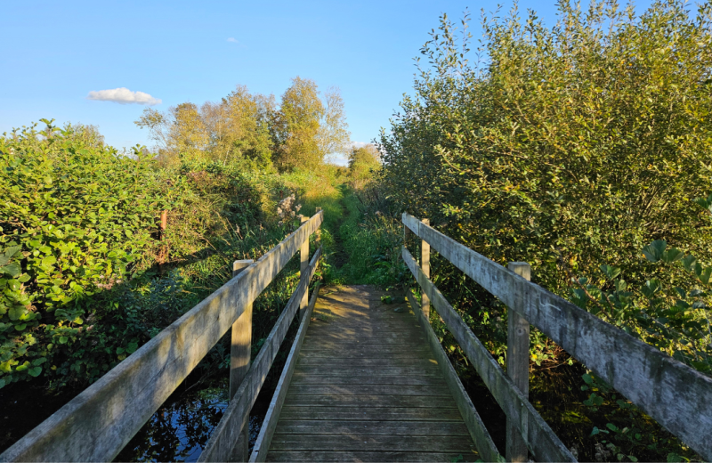 Les étangs et marais de Mareuil-Caubert