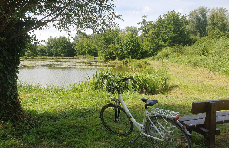 Location de vélo, kayak et paddle - Maison Eclusière de Long