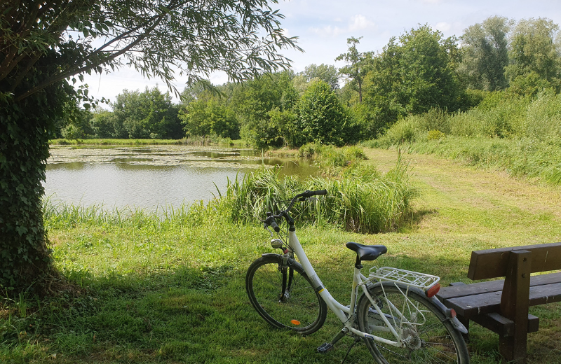 Location de vélo - Maison Eclusière de Long