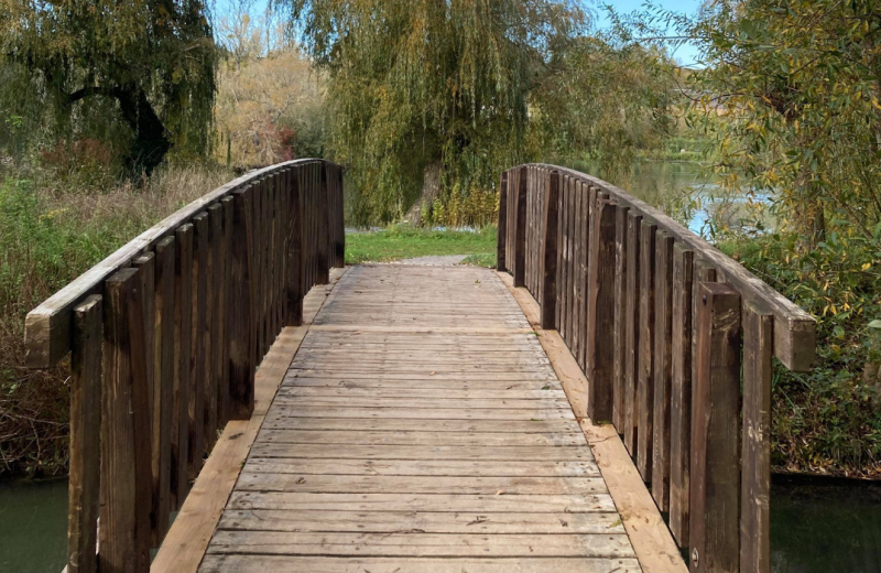 Le Marais de la Bouvaque