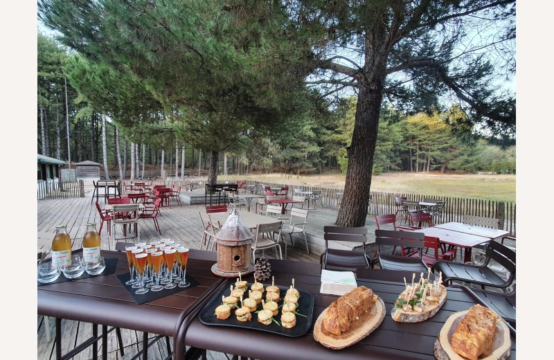 Séminaire au Parc du Marquenterre