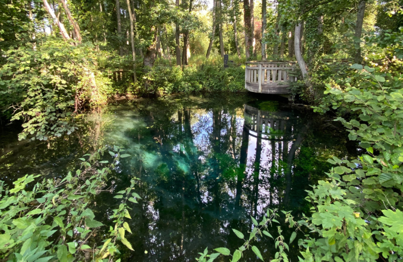 Le Marais de la Bouvaque