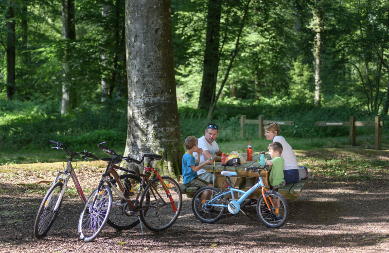 Le réseau Points Noeuds : La Somme à vélo