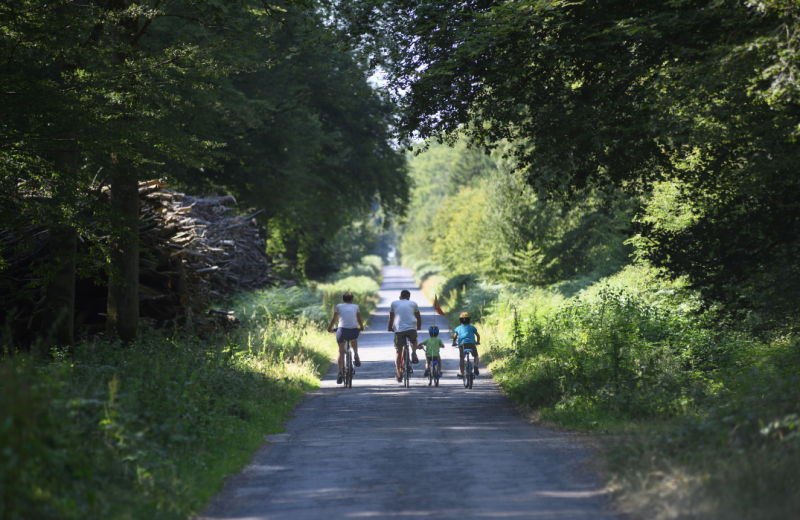 Les circuits en forêt de Crécy