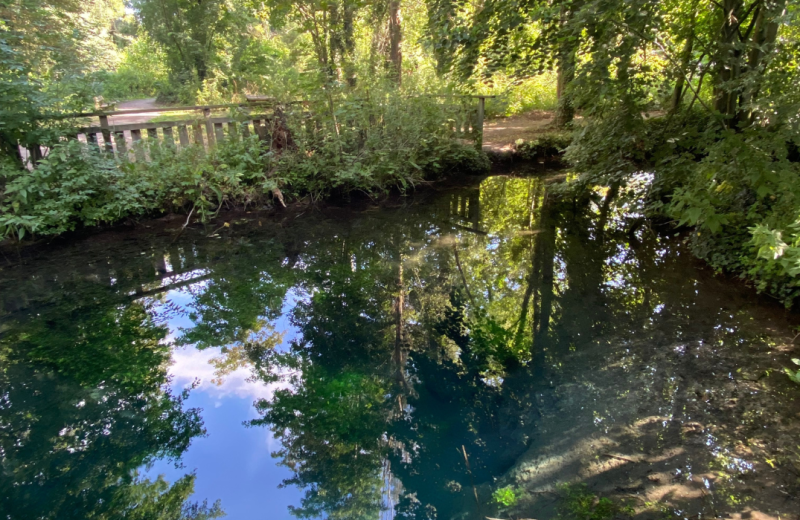 Le Marais de la Bouvaque