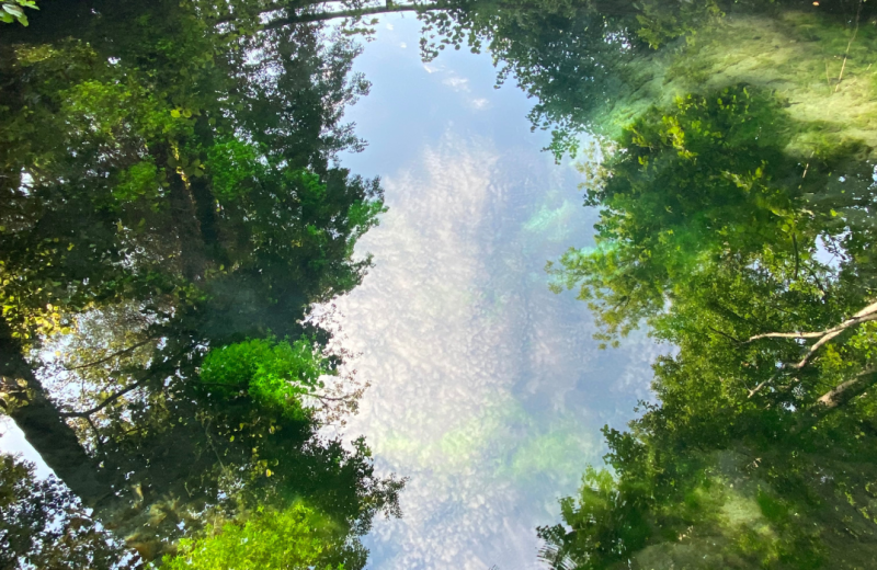 Le Marais de la Bouvaque