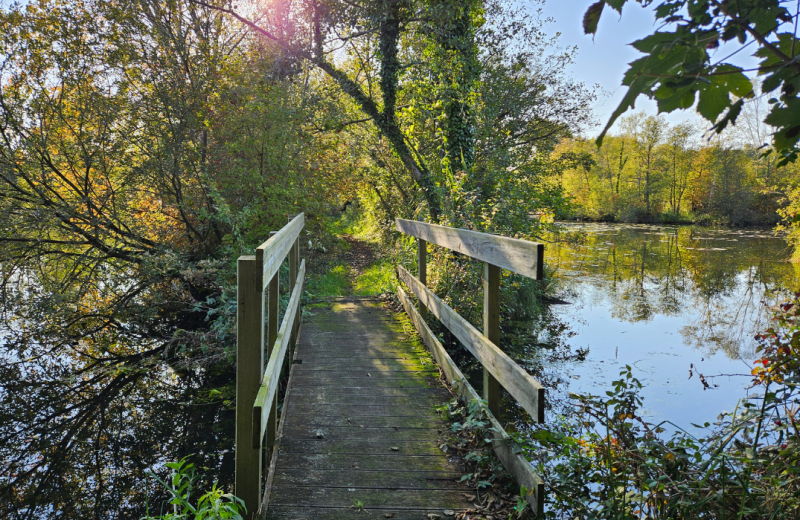 Les étangs et marais de Mareuil-Caubert