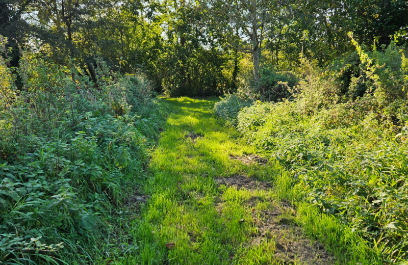 Les étangs et marais de Mareuil-Caubert