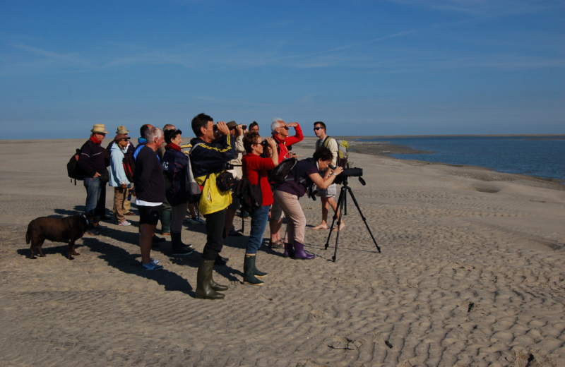 Rando Nature en Somme