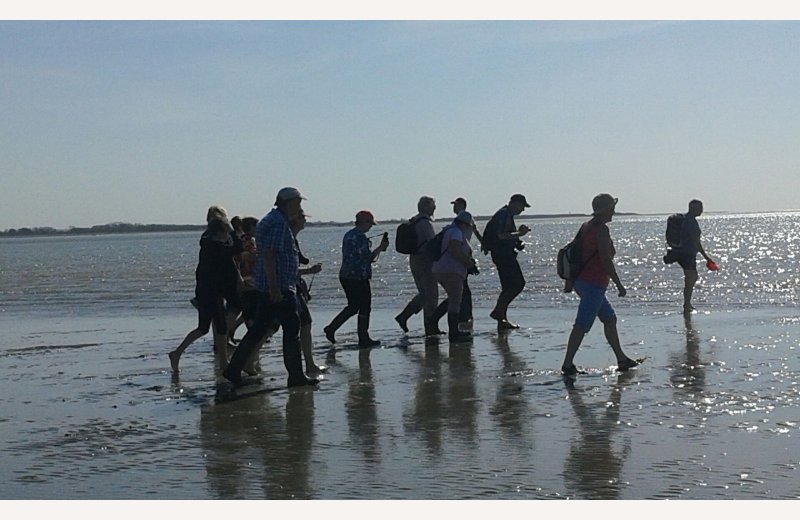 Rando Baie de Somme Découverte