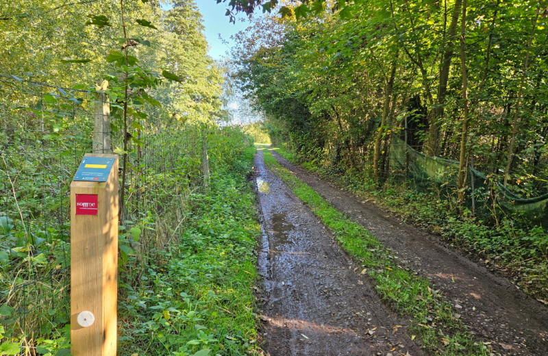 Les étangs et marais de Mareuil-Caubert