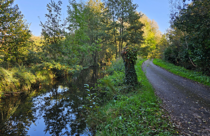 Les étangs et marais de Mareuil-Caubert