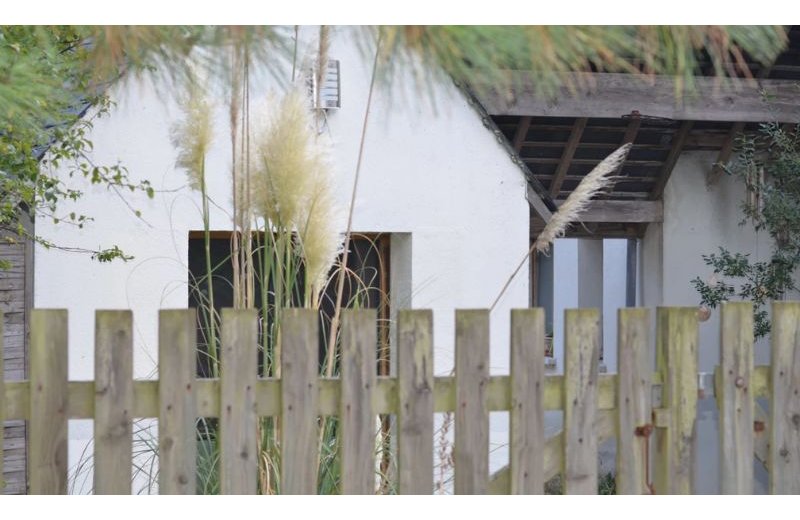 Le loft des Pins