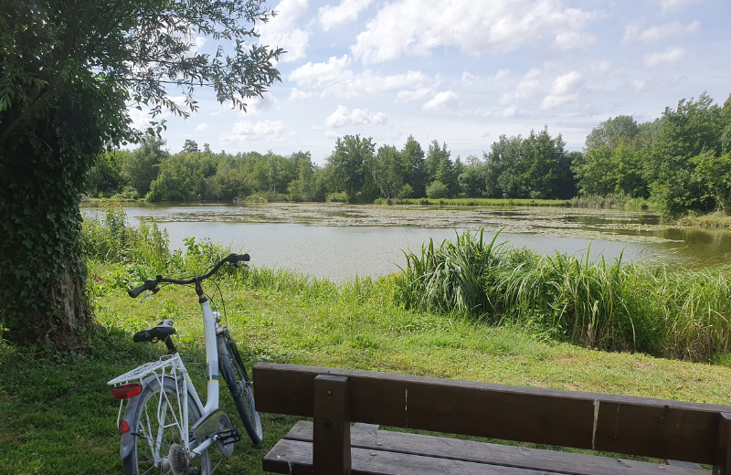 Location de vélo, kayak et paddle - Maison Eclusière de Long