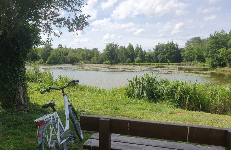 Location de vélo - Maison Eclusière de Long