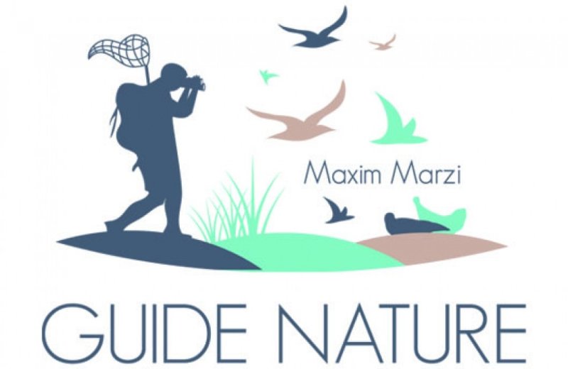 Maxim Guide en Baie de Somme