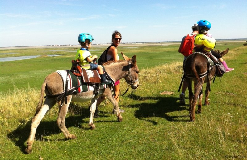Escapades en Baie de Somme