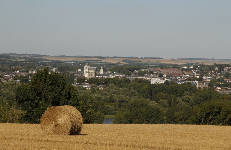 The 3 Fétus Walk