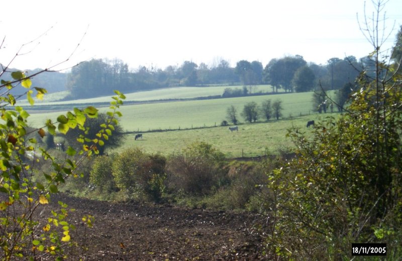 Autour du bois de Bailleul