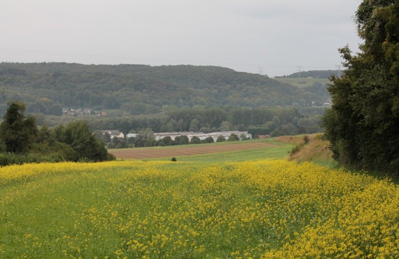 Circuit de l'Isle