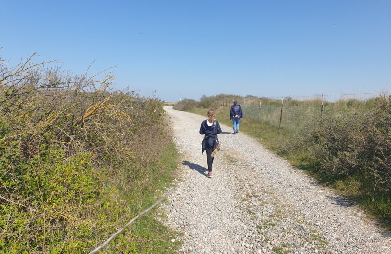 Hâble d'Ault nature reserve