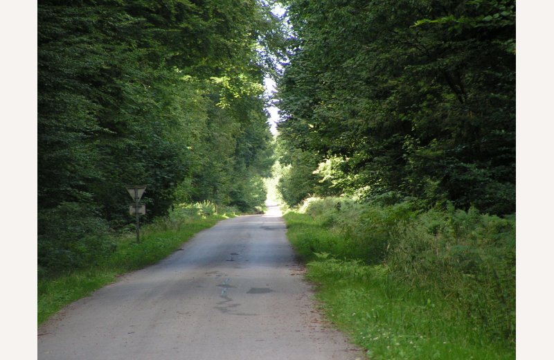 Walks in the Forest of Crécy