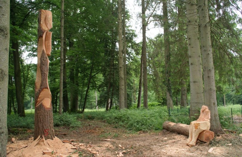 Les circuits en forêt de Crécy