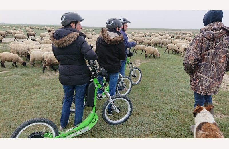 Location de trottinettes électriques - Trott' en Baie
