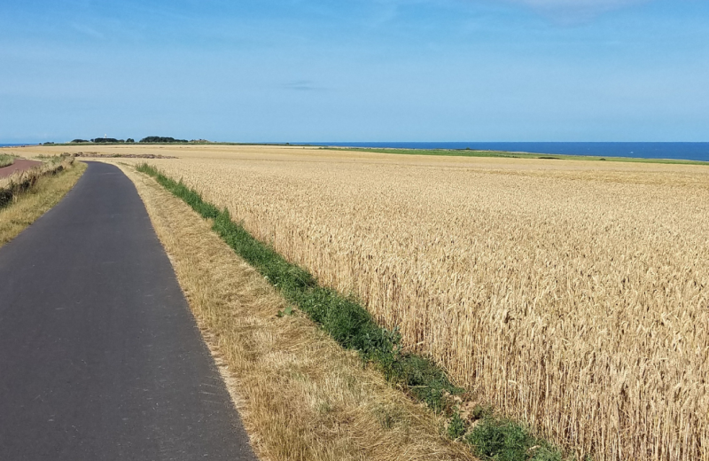 La Vélomaritime® - EuroVelo4 - Le Tréport -> Cayeux-sur-Mer