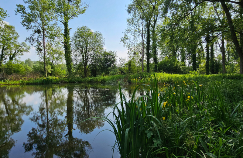 Le moulin d'Eaucourt