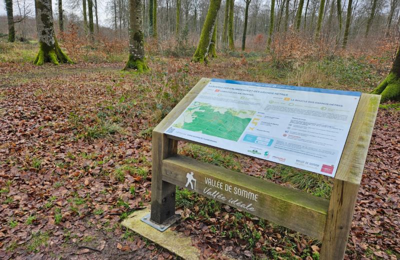 Les circuits en forêt de Crécy