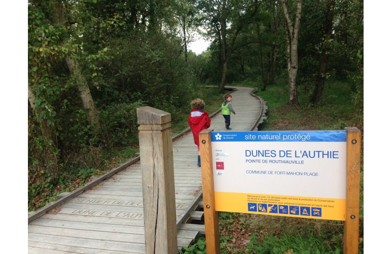 La Dune de l'Authie