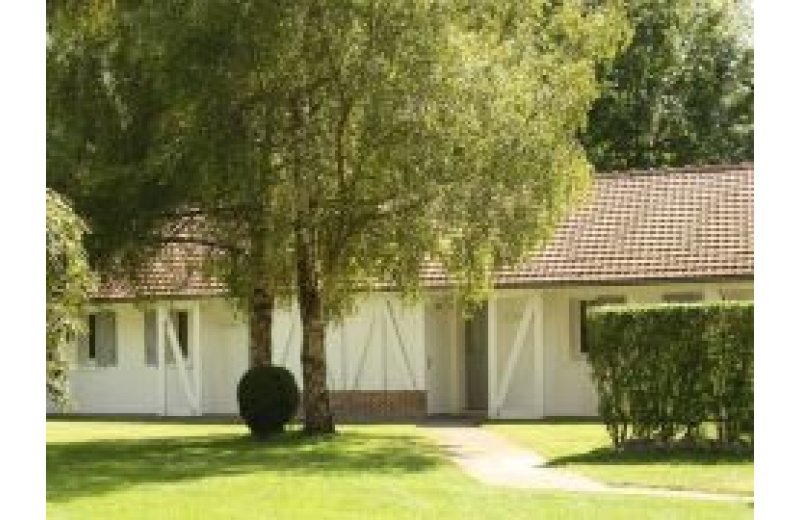 CLASSIC - LA STERNE