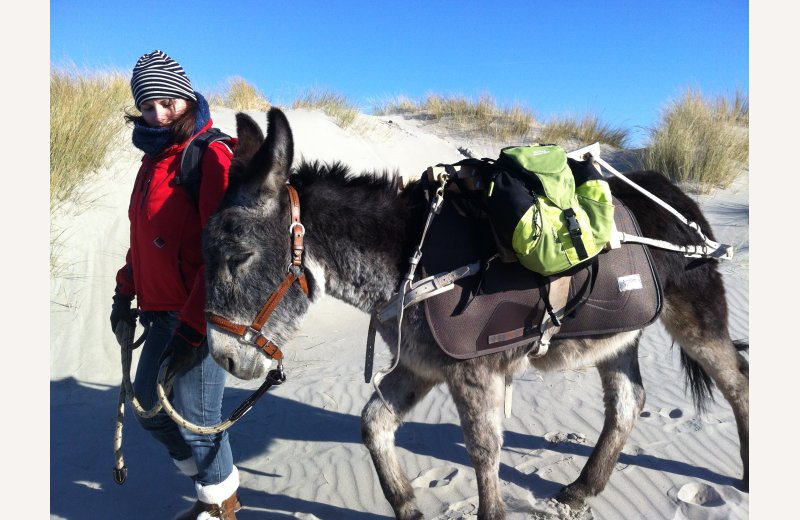 Escapades en Baie de Somme