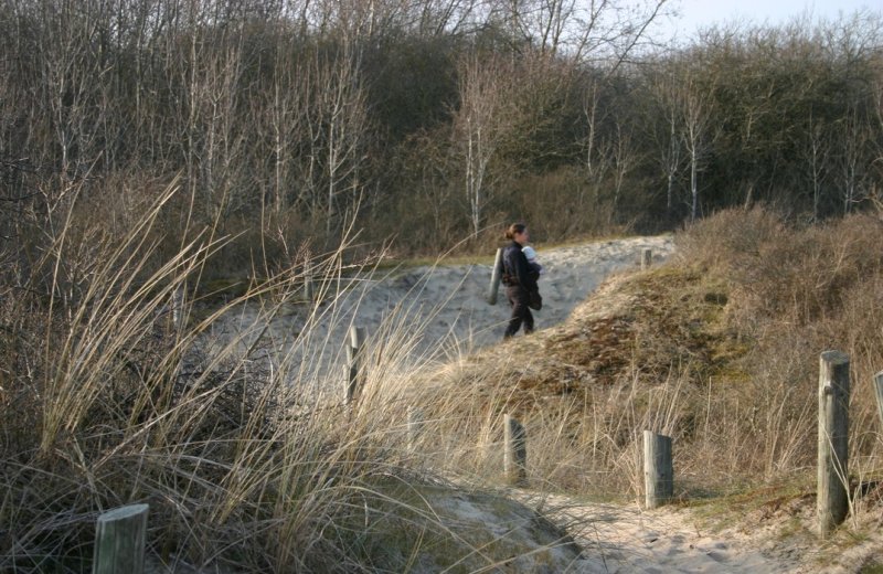 Authie dune