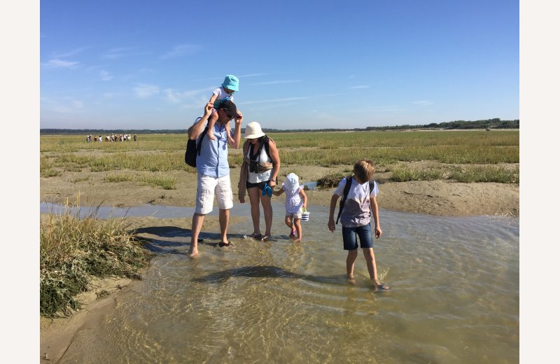 Escapades en Baie de Somme