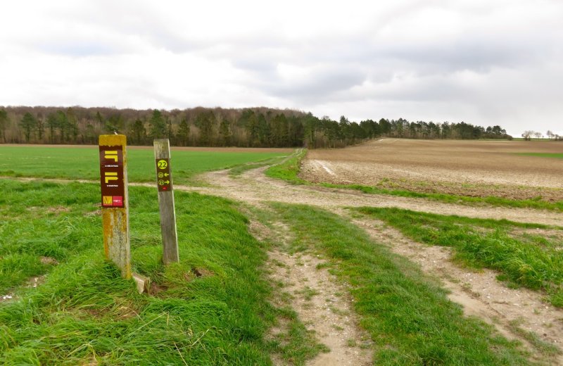 La vallée de Frosme